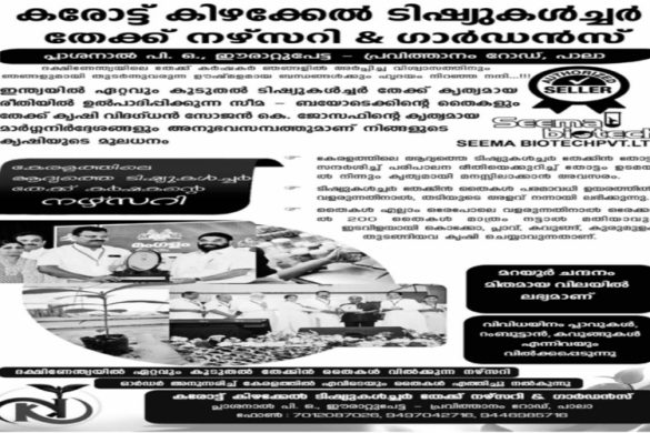 Karottu Kizhakkan Tissue Culture Teak Nursery & Gardens – Iravattor, Pala