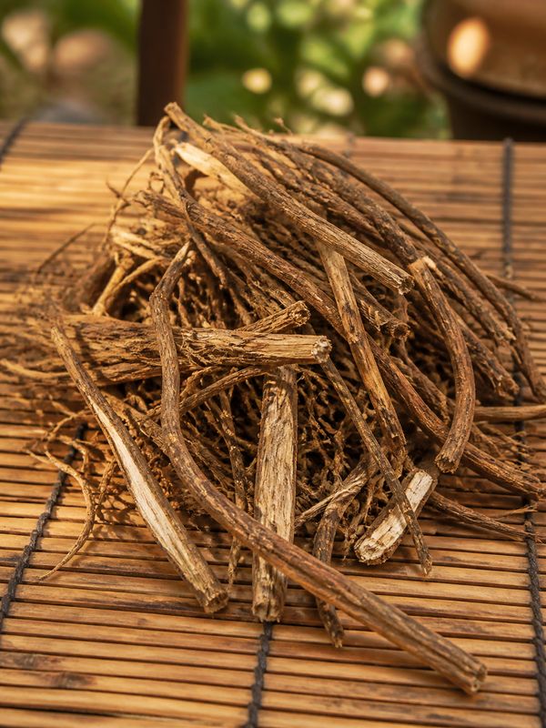 Properly dried kurunthotti roots and stems prepared for Ayurvedic medicine markets