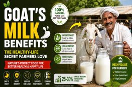 Goat’s Milk Benefits: Why This Nutrient-Rich Milk Is Easier to Digest