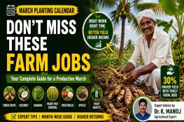March Planting Calendar: A Complete Guide to Tuber Crops, Coconut, and Banana Planting