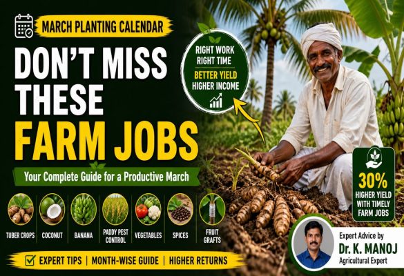 Farming Guidance