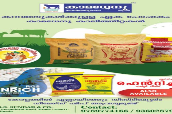 RGS Feeds Erode – Kamadhenu Cattle Feed, Poultry & Goat Feed Supplier in Tamil Nadu