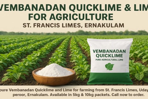 Vembanadan Quicklime & Agricultural Lime for Soil