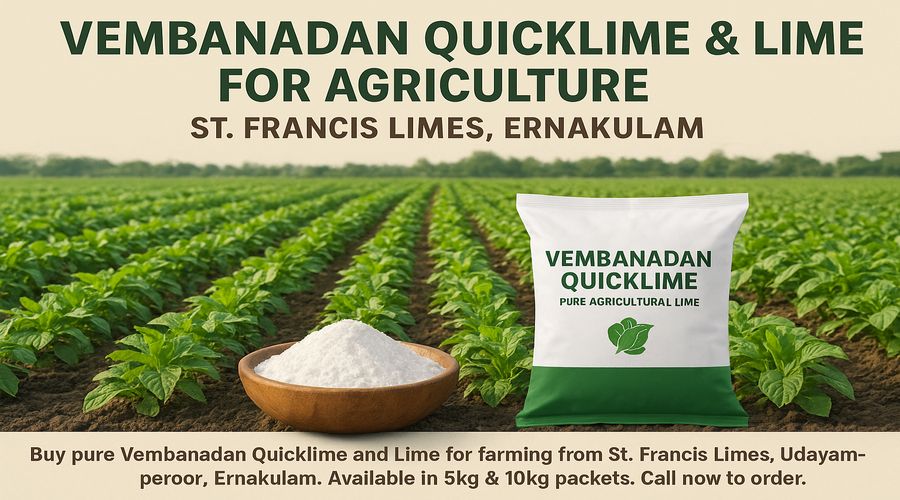 Vembanadan Quicklime and Lime packets for agricultural soil treatment