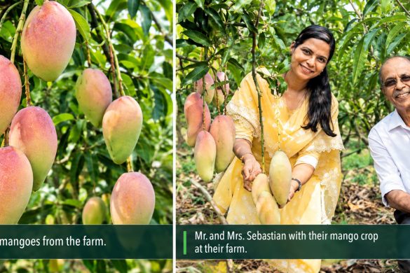 Dr. Jayaram’s Agriculture Officer 300 Mango Varieties Kerala Farming in 1.5 Acres