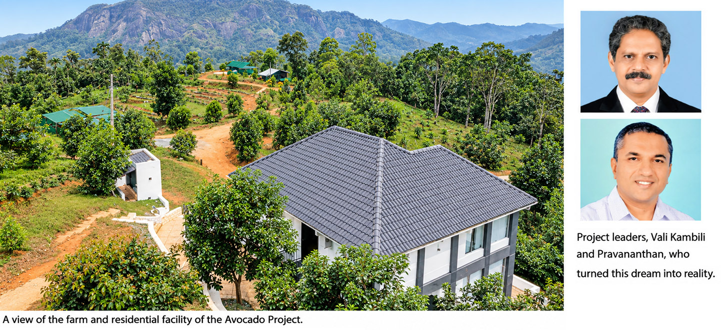 Kerala Avocado Farm