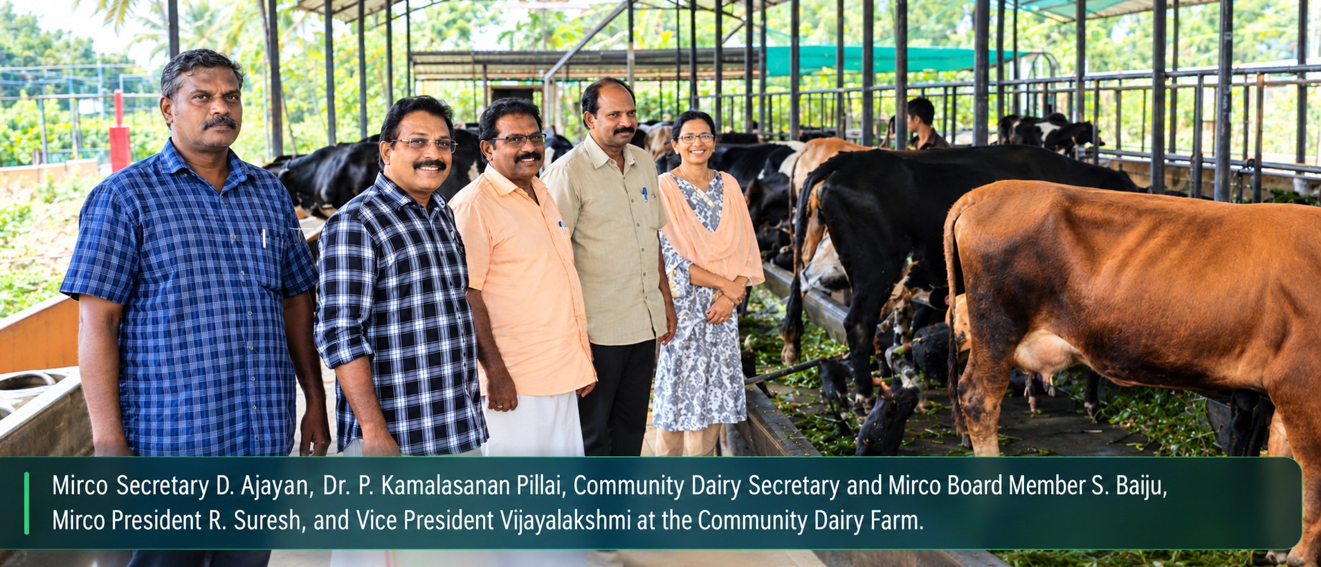 Earn Monthly Income by Investing in a Cow
