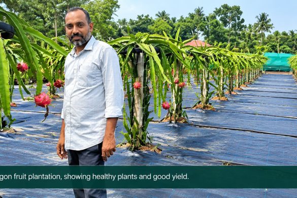 Success Story of Sajan’s Agri Solution: Turning Idle Kerala Land into Orchards