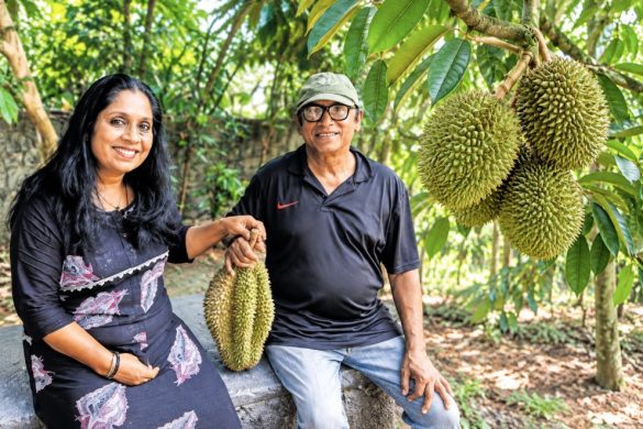 Durian Farming in Kerala: A Profitable Rubber Intercrop Success Story