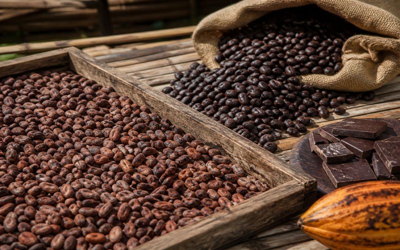 Fermented and dried cocoa beans used for natural chocolate production