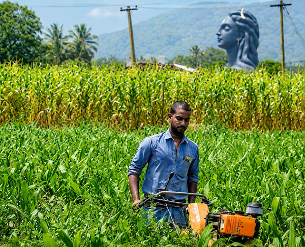 Anuraj at Sadhguru farm