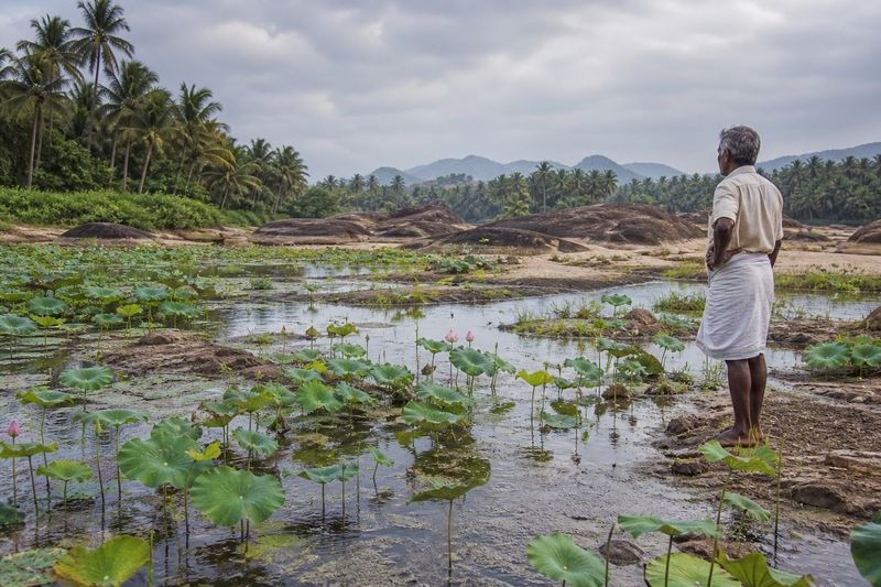 Kerala wetland farming landscape showing slushy Chambam-style paddy field needing modernization