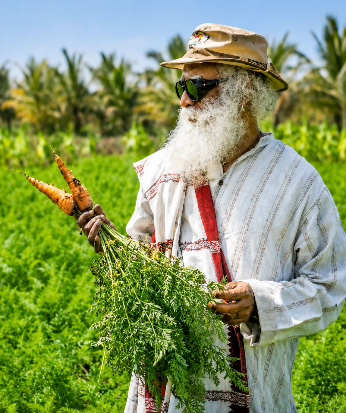 Sadhguru working in an organic paddy farmland near Isha Yoga Center in Coimbatore
