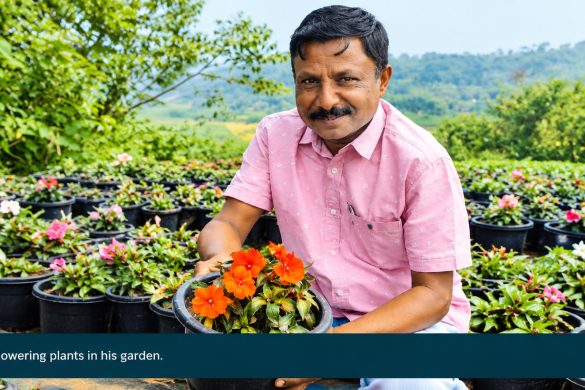 Annual Flowers: Visit A.D. Pushpan’s 16-Acre Colourful Farm in Angamaly