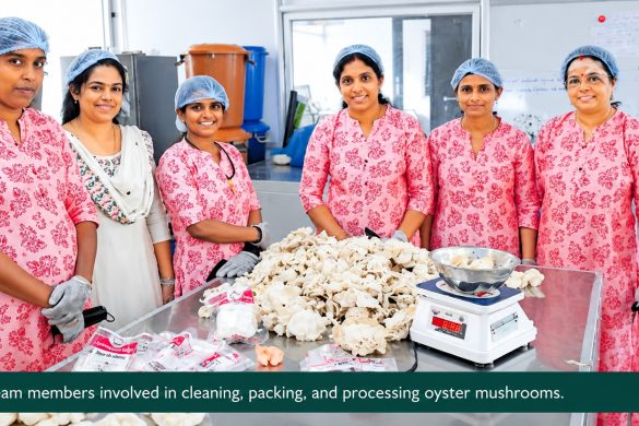 Ammakkoottam Mushroom Farm: How 7 Women Built a 12,000-Bed Venture