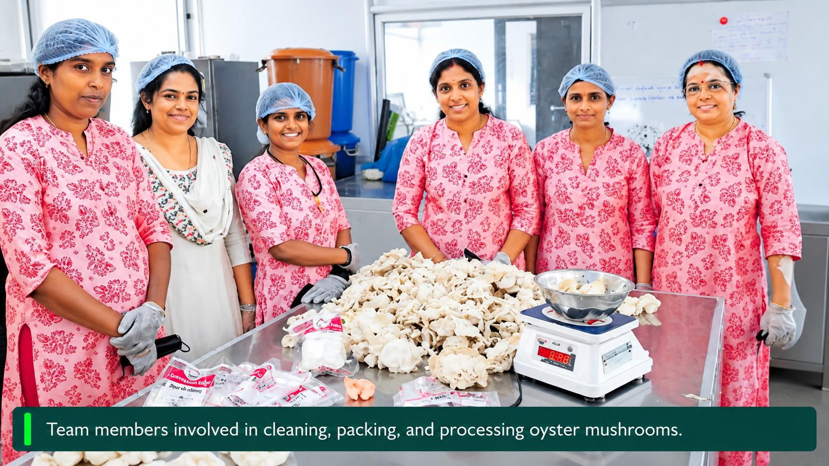 Ammakkoottam Women Achieve Success With 12,000 Bed Mushroom Farming