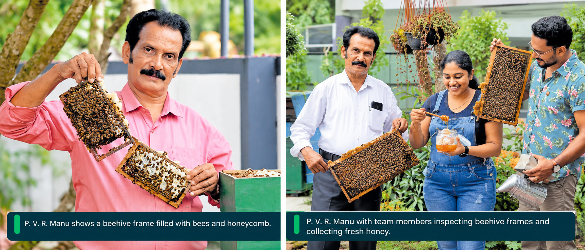 Successful Bee Farming Produces 50,000 Liters of Honey for Market