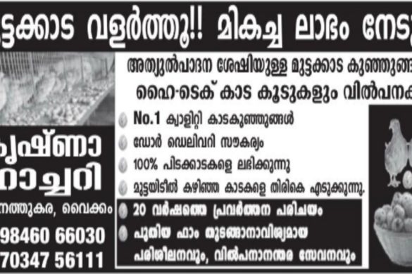 Buy Egg-Laying Chicks & Poultry Cages | Krishna Hatchery Vaikom Kerala