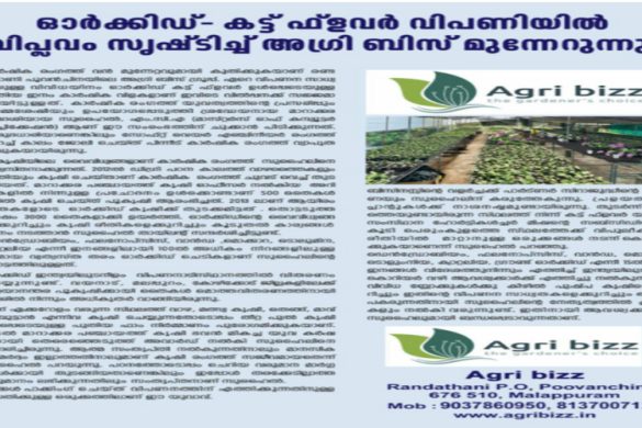 Orchid Cut Flower Farming & Export Opportunities | Agri Bizz High-Tech Nursery