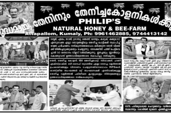 Philip’s Natural Honey & Bee Farm – Pure Honey, Bee Colonies & Beekeeping Equipment in Kumaly