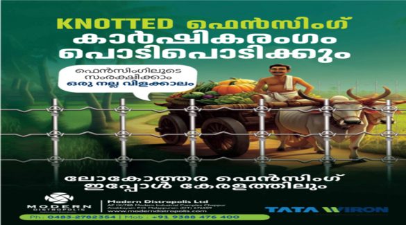 Tata Wiron Knotted Fencing in Kerala – Modern Distropolis Malappuram