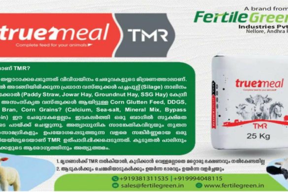 TrueMeal TMR Complete Animal Feed by Fertile Green Inc – Nellore, Andhra Pradesh